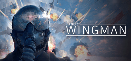 僚机计划/Project Wingman-3DGAME