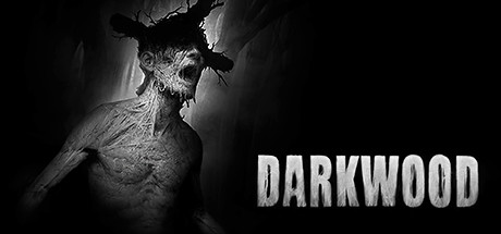 阴暗森林/Darkwood（v4224822）-3DGAME